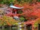 Japan Autumn colours