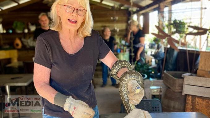 Keeping Snakes and Locals Safe All in a Day’s Work for Vanessa