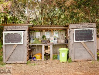 Tamborine Mountain Crop Swap