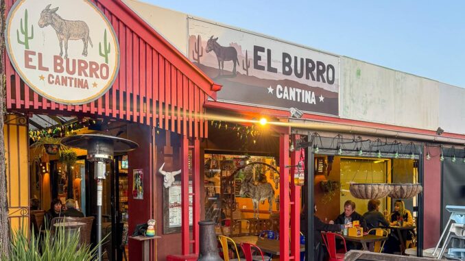 IMG_1774 TMN Local Lens El Burro Cantina SC El Burro Cantina.